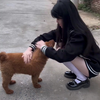 【揭秘神秘】JK萝莉教你鉴别小狗狗的终极秘籍