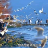 想不想看花海盛开