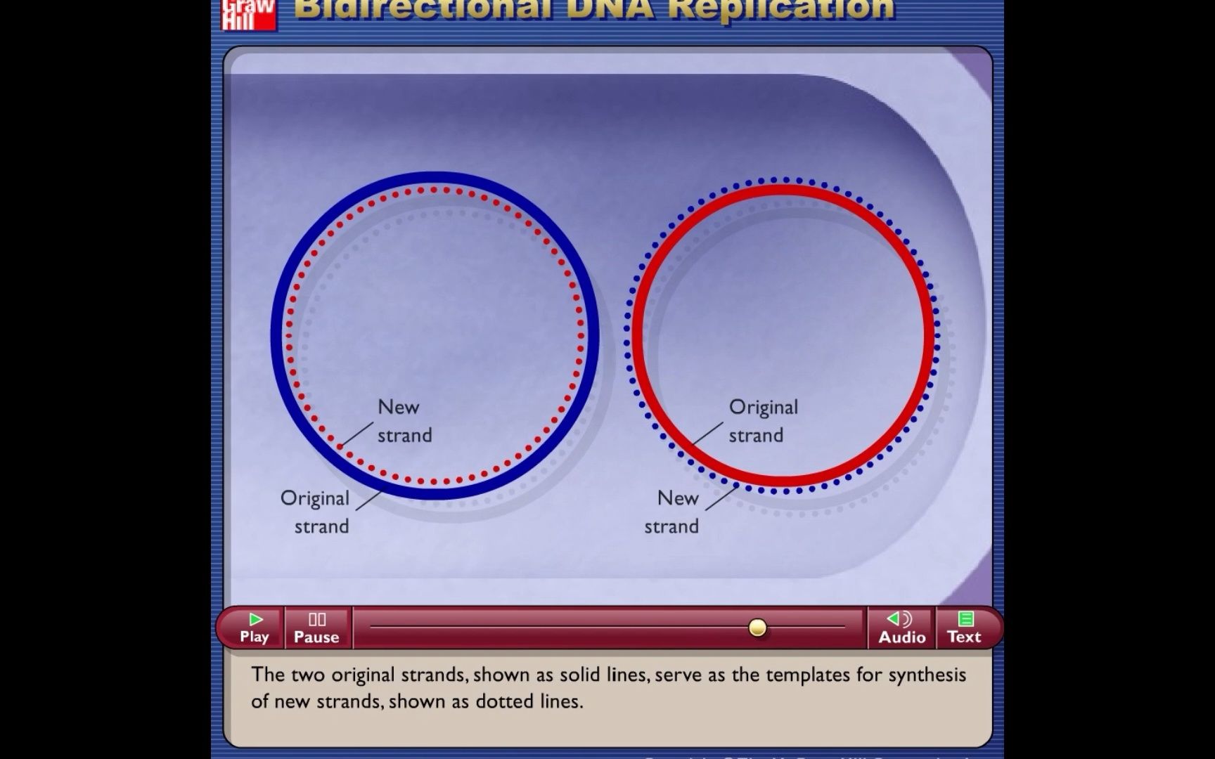 大肠杆菌DNA复制时，滞后链形成环状 - 知乎