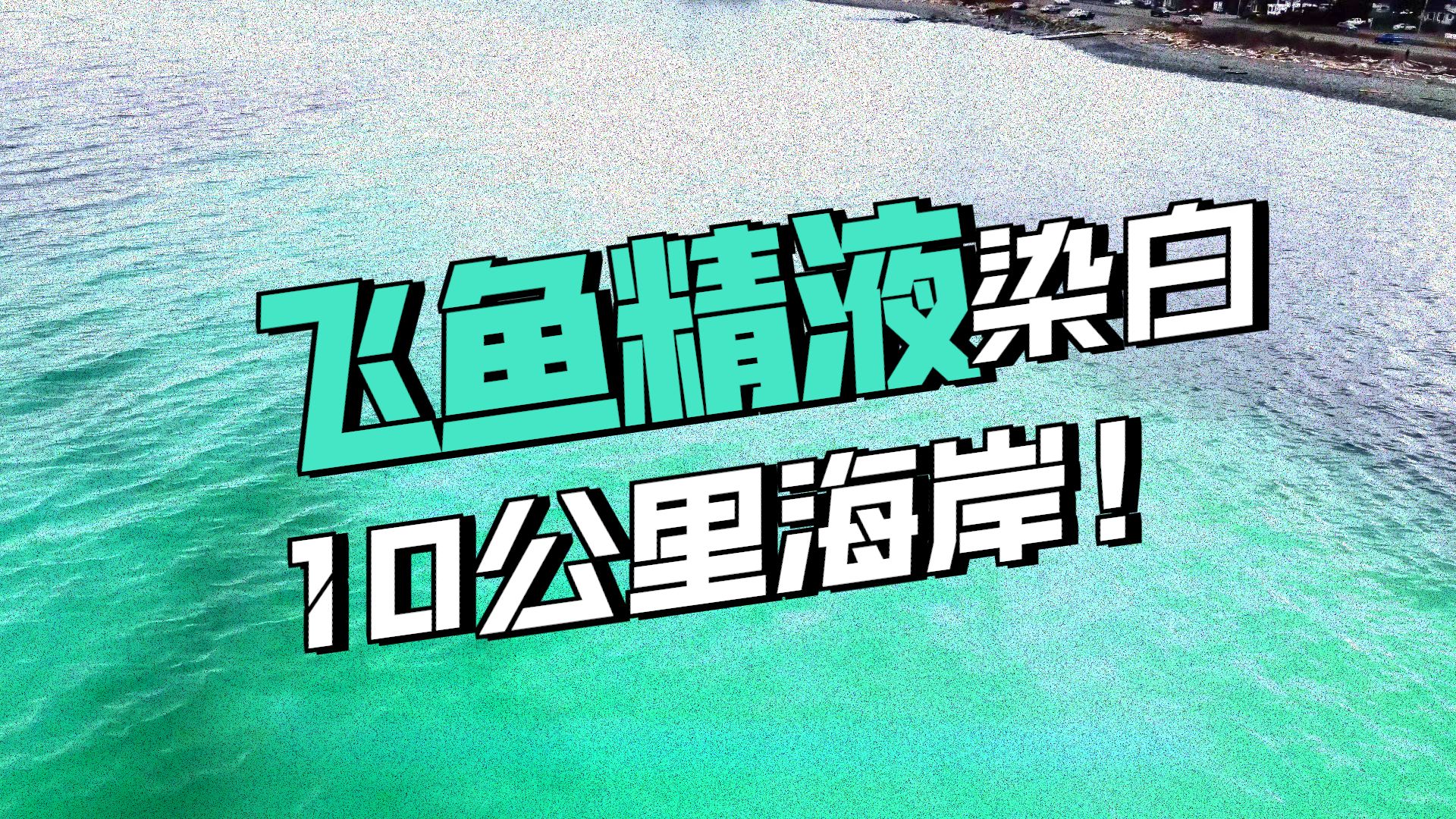 百万鲱鱼集体排精，海水瞬间变白#科普 #海洋生物 #动物 #自然科普