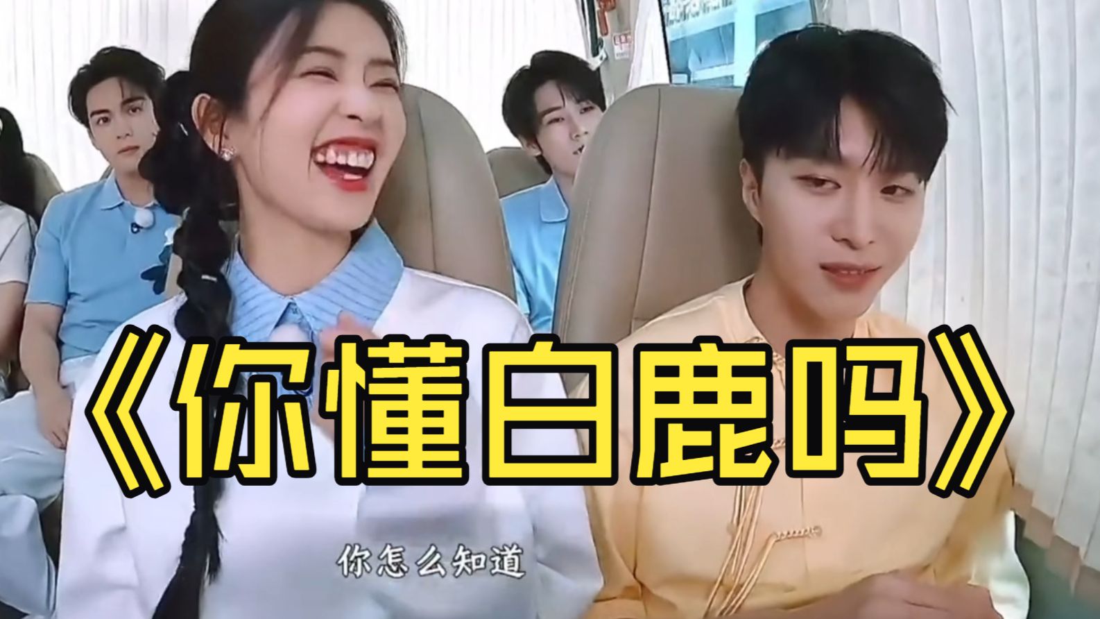 你懂白鹿吗？——内娱嘉欣