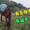 一人一马骑行到禄丰县遇好大哥，开皮卡带我去开房，结果马不上车
