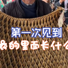 第一次见到蓑衣的里面长什么样子