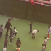 江西一幼师脱孩子裤子打屁股