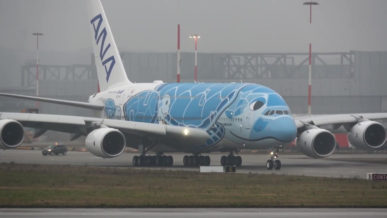 可爱海龟全日空anaa380测试中断起飞