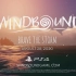 Windbound 生存冒险游戏 PS4宣传片