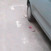 最后一次去看看南宁80年代的老小区，大板二区