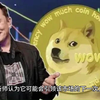 分析师认为狗狗币（DOGE）可能很快就会达到 1 美元