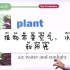 （剪辑带中文）美国中小学教学 植物组成部分