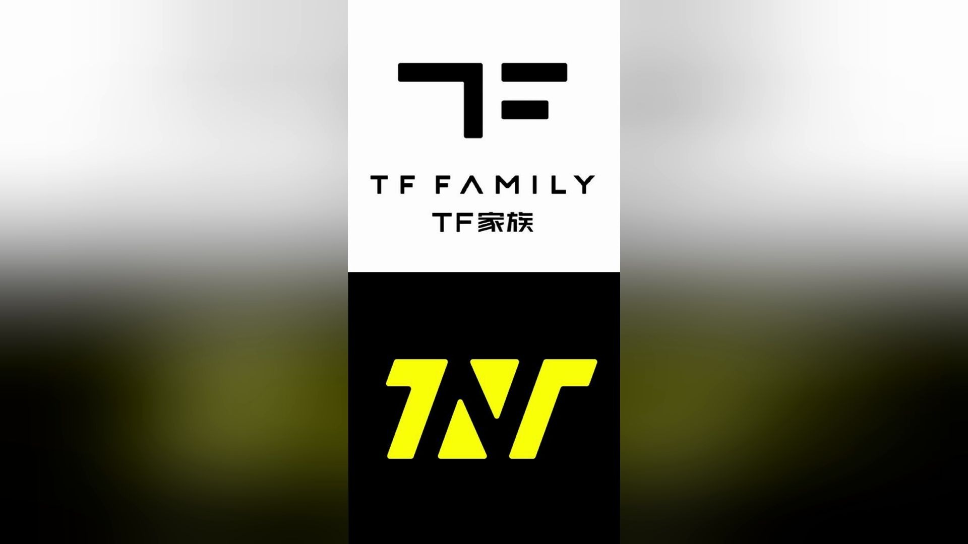 tf家族sdfj的二团和三团