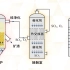 【化学必修2】工业制硫酸新高考新课改微课慕课讲解视频动画教学参考辅助资料硫酸制备硫磺高中化学选修必修教科书