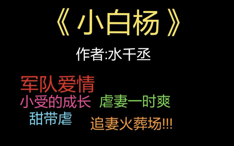 推文书名小白杨作者水千丞