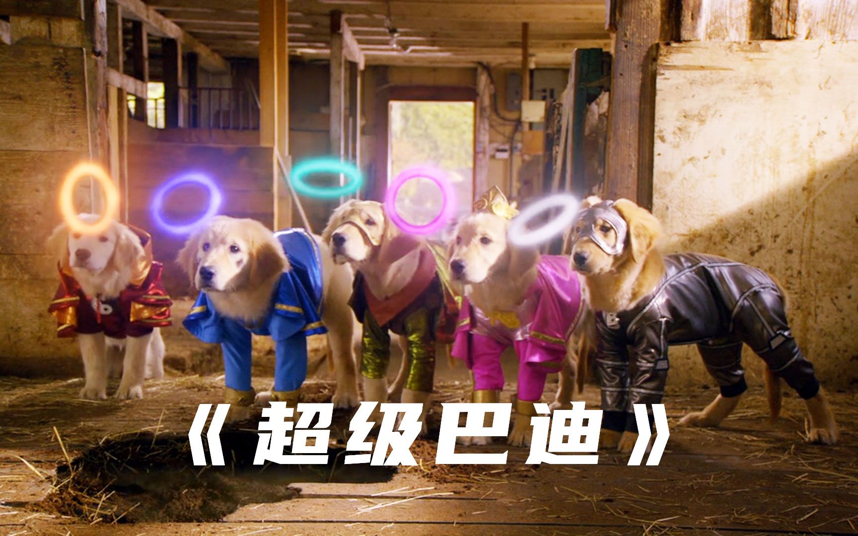 5只狗狗意外获得神奇圆环，拥有了5种超能力，变成了超级英雄！