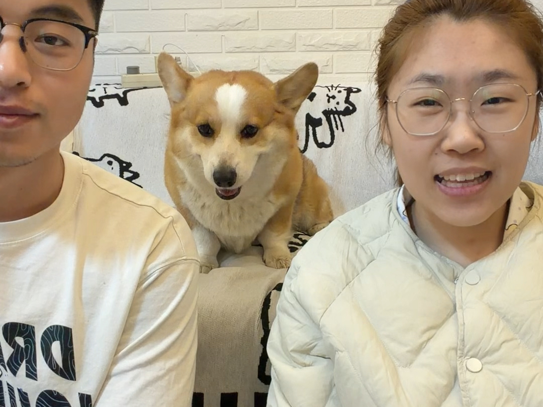 听说转头瞬间 小狗会下意识看向它最爱的人