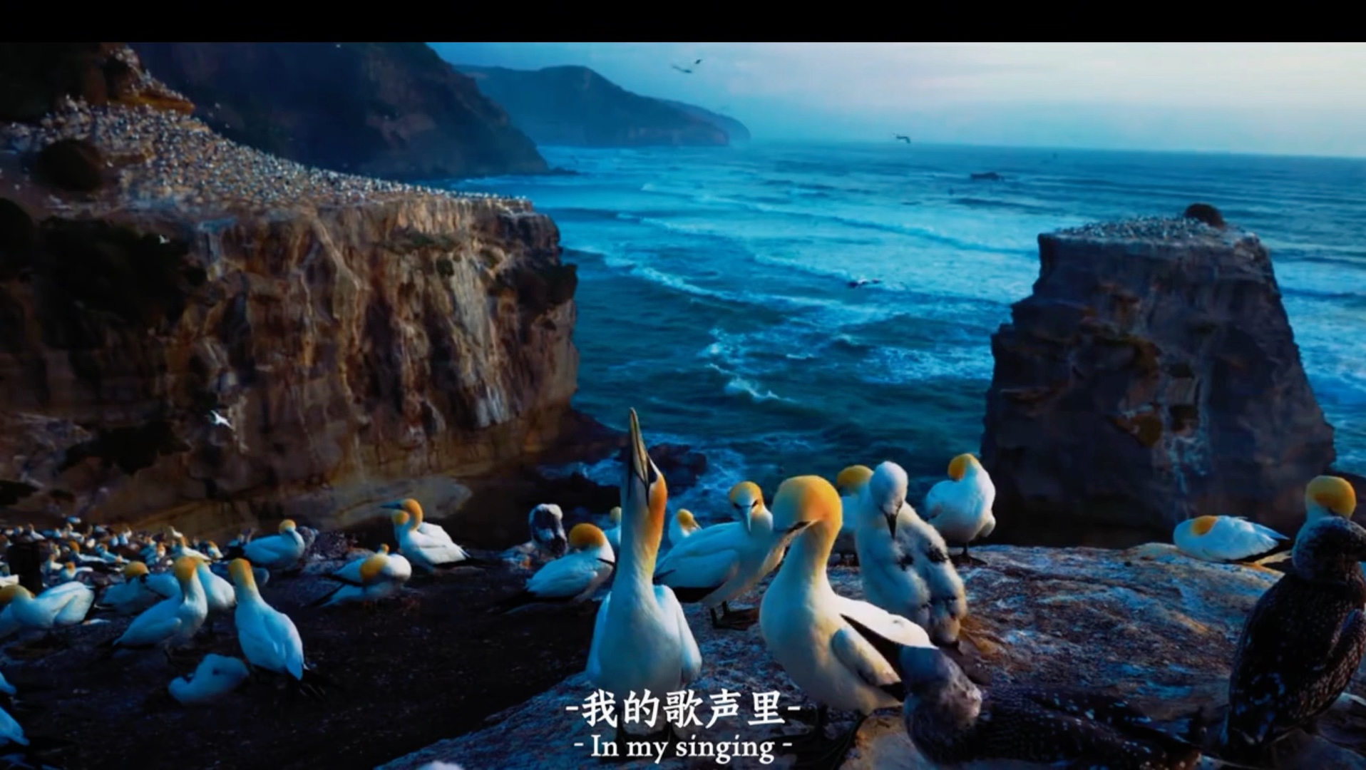 “你存在 我深深的脑海里” #冰岛 #冰岛黑沙滩 #摄影 #inmyfeelings
