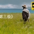 【音乐】[4K]央视记录片《第三极》许巍同名主题曲MV。