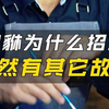 貔貅为什么没屁眼？它的真正作用其实都被大家忽略了