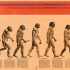一张被误解多年的图，推翻进化论？