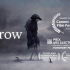 AI智能动画《乌鸦》！荣获2022戛纳电影短片节最佳短片！