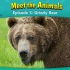 【英文字幕】Meet the Animals英文版科普动画片 遇见动物全集 少儿动物世界  英语启蒙