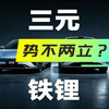 三元和铁锂势不两立？90%的人都搞错了