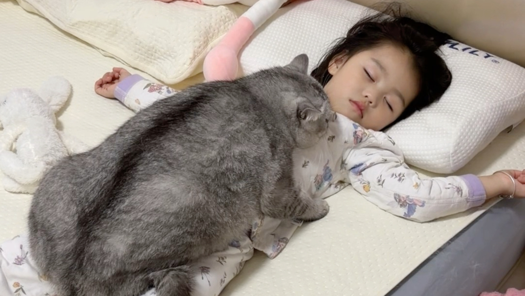 猫：幼崽睡哪我睡哪