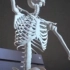 在做各种运动时人体骨骼的状态