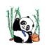 【聪聪说10话】3分钟告诉你什么是“熊猫外交”？