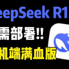 无需部署，最新手机端网页端免费无限制使用DeepSeek满血版，拒绝服务器繁忙