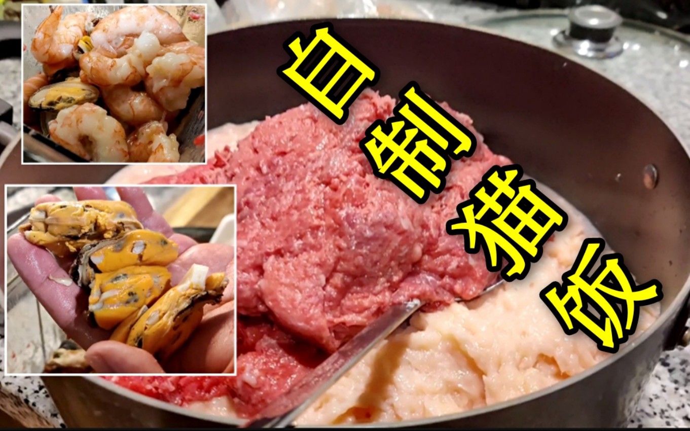 【缅因猫】怒做10斤猫饭！铲屎的闻了都被香出猪叫！