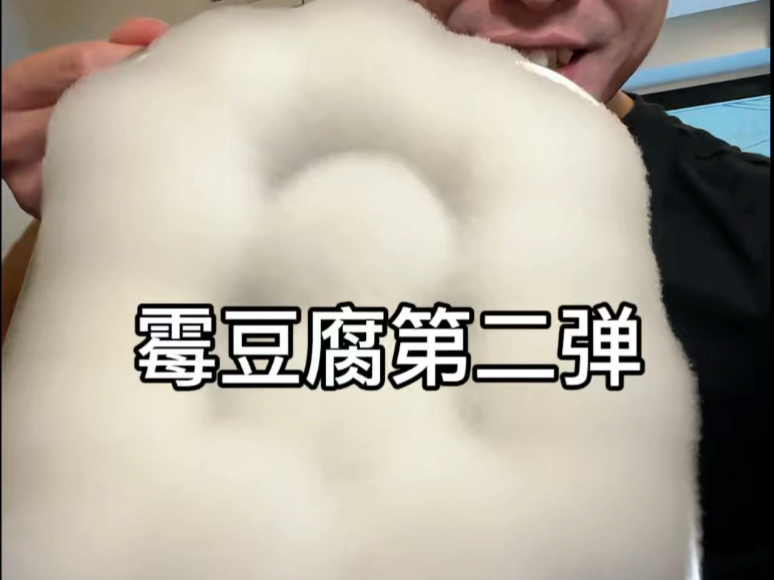 霉豆腐太好玩了！我又做成功了！