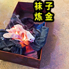 臭袜子也含有黄金？粉丝把穿了半年的袜子寄过来让老大南提炼黄金