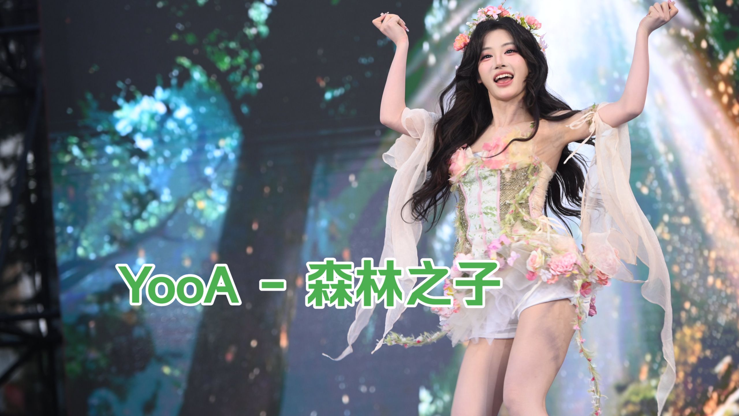 【嘉宾秀】YooA - 森林之子【KDC随机舞蹈】