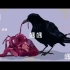 flower『Undead(アンデッド)』MV/遼遼