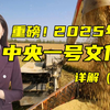 央农详解2025年中央一号文件！（二）【主播说三农