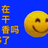《寸止挑战大师，够了吗