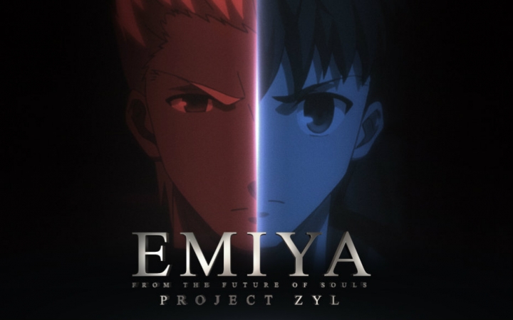 【ZYL】FATE-EMIYA