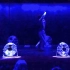 【TED演讲集:艺术与幻觉】阿卡诗•奥德拉：纸风光舞:乘着纸,风和光舞蹈