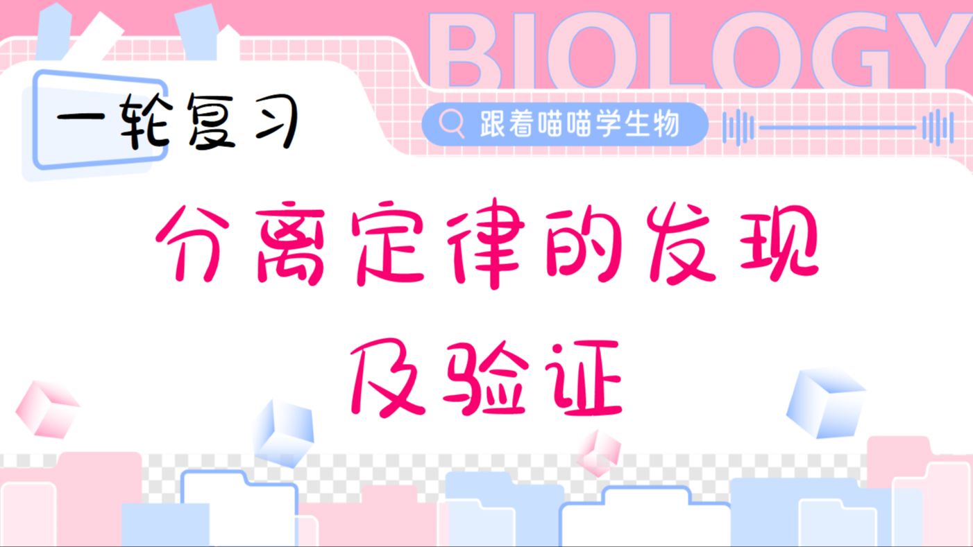 分离定律的发现及验证【一轮复习】