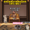 当你穿越到古代唱歌给皇帝听《辞九门回忆