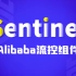 【尚硅谷】2021最新版Sentinel教程丨Alibaba流量控制组件sentinel