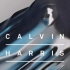 Calvin Harris Ellie Goulding - Outside