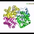 【生物化学与分子生物学】血红蛋白3D结构展示