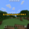 我的世界粉丝投稿的贝爷种子_我的世界