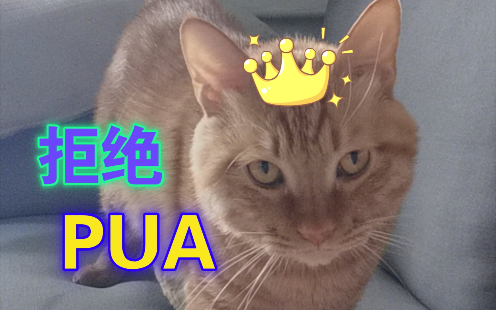 活动作品如何拒绝pua刘梦娜视频的观看有感