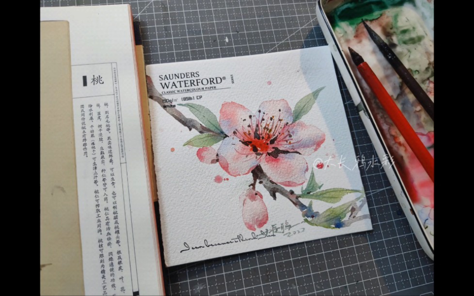 【水彩】桃花朵朵开脱稿水彩～一起画春天吧～