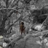全面专业介绍《奇幻森林》拍摄过程The Cinematography of The Jungle Book