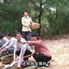 林美玲许好宁究竟经历了什么园区被囚转卖_180_万泰铢