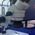 如何使用体视显微镜