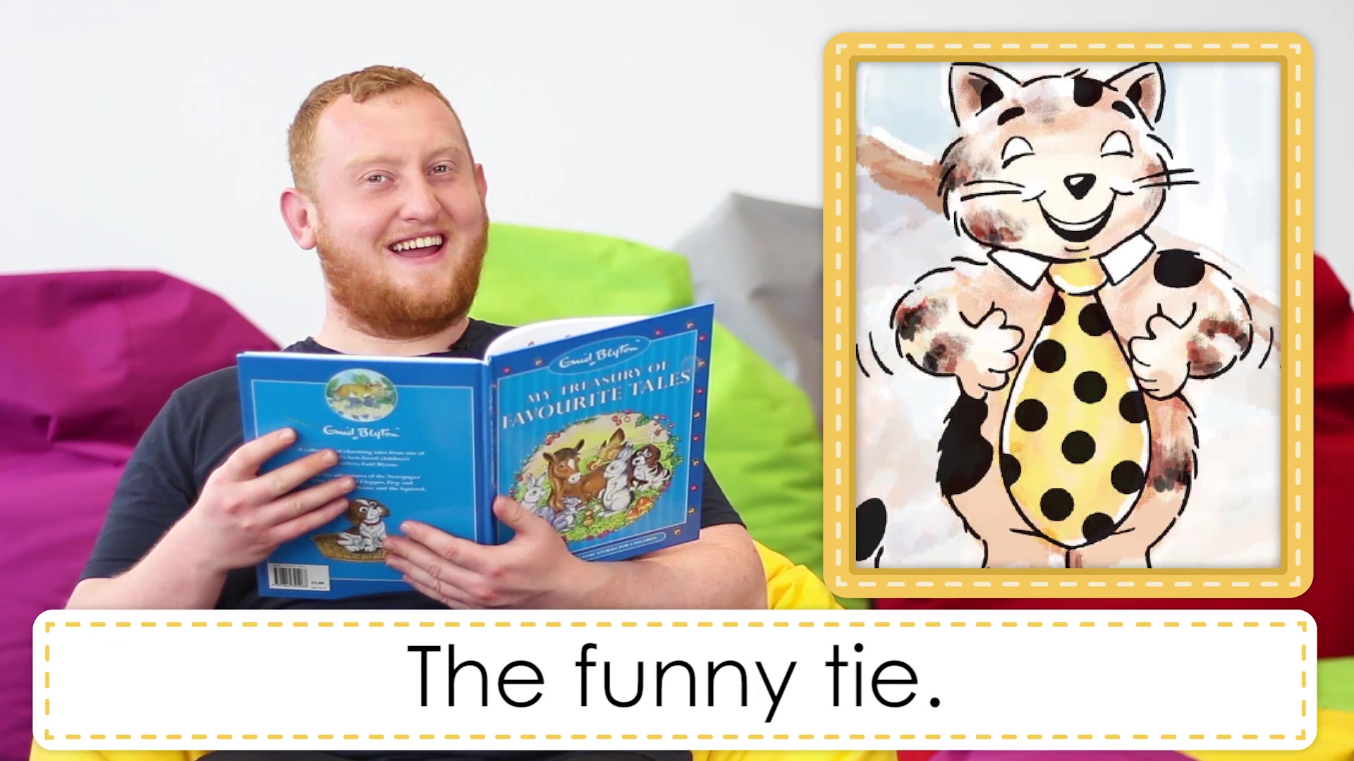 【睡前故事】funny cat 有趣的猫